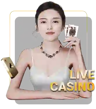 peso888 live casino_2